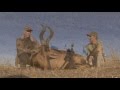 Hercules Safaris Red Hartebeest 2013