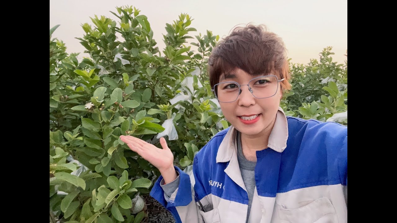 Bấm Đọt Xong Mà Đọt Non Ra Nhiều Thì Phải Làm Thế Nào ??