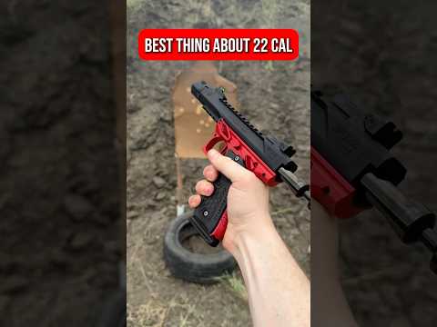 Do You Like 22 Cal Guns? #shorts