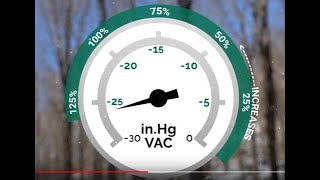 Vacuum and Yield in Maple Production