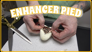Enhancer Pied Egg Cutting! Did We Hit It??