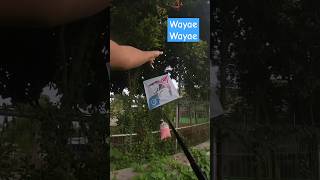 Download Lagu Ojo mokel le #layangan #layanglayang #kite MP3