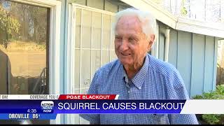 Squirrel knocks out power in Town of Paradise