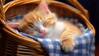 EXTREMELY Soothing Cat Therapy Music - Relax Your Cat! Cat Music - Music to Help Your Kitty Sleep by Pet Friendly 1,826 views 3 weeks ago 24 hours