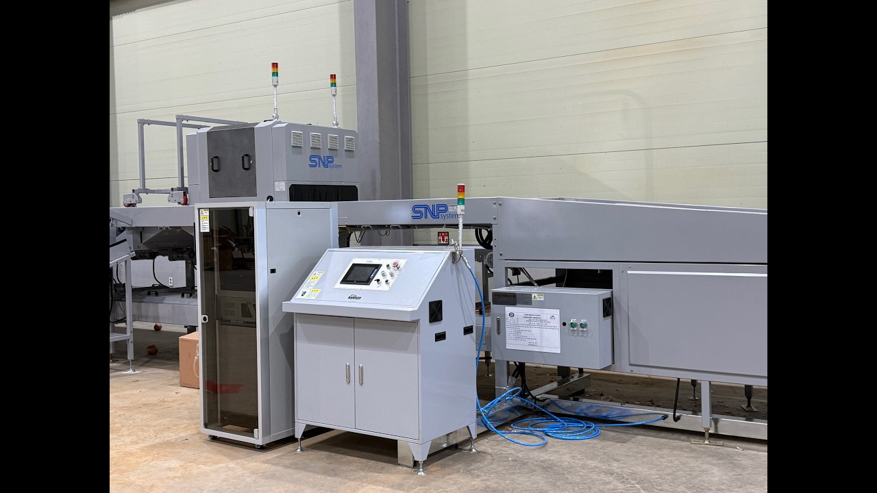 SNPSYSTEM - Onion Sorting 양파 선별 (서산/부석농협)