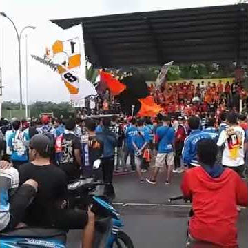 The jak bilang viking anjing