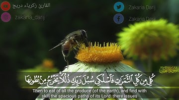 آيات من سورة النحل | عظمة الله في خلقه | القارئ زكرياء دريج