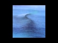 Ride-Polar Bear