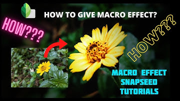 How to Give Macro Effect in Snapseed | Snapseed Tutorials | Simplified Editing