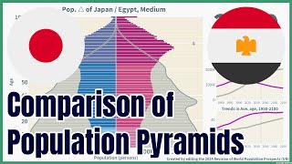 [🇯🇵Japan vs 🇪🇬Egypt] Comparison of Population Pyramids (1950-2100), 4 scenarios, #wpp2024