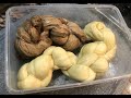 Making Seitan from wheat flour at home and 3 different ways to prepare Seitan - easy and delicious