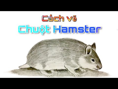 Video Hướng dẫn vẽ con chuột hamster - youtube