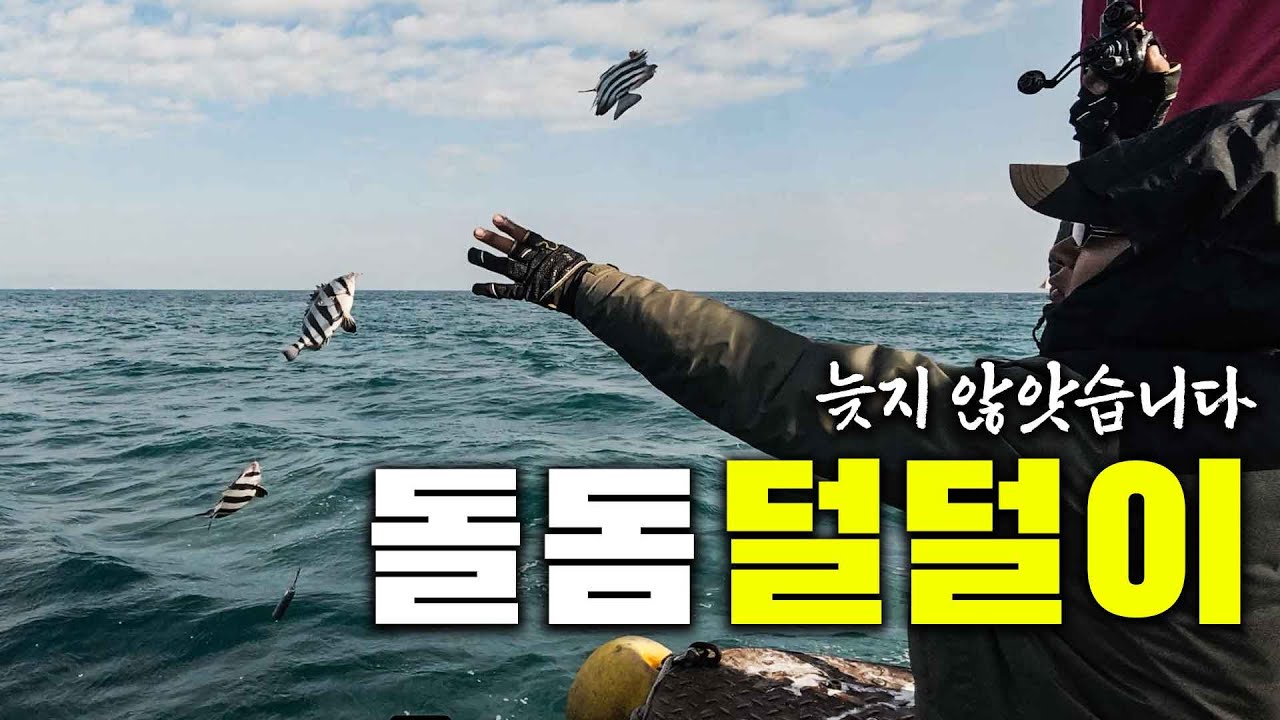 1년만에 다시 찾은 돌돔 덜덜이낚시, 전망은 밝습니다 다만.. - YouTube