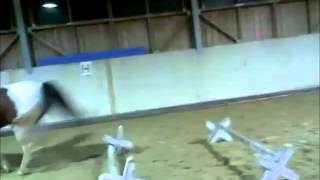 Bareback-Tackless jumping