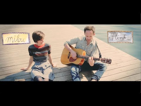 Schwalben Anfang Mai Video