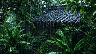Gentle Rain Sounds To Wash Away Stress And Fall Asleep In Minutes | Deep Sleep Rain Sounds screenshot 3