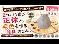 【毛色講座】第3回：ジャンガリアンハムスターの毛色のひみつ！ユーメラニンとフェオメラニン、希釈遺伝子とは？