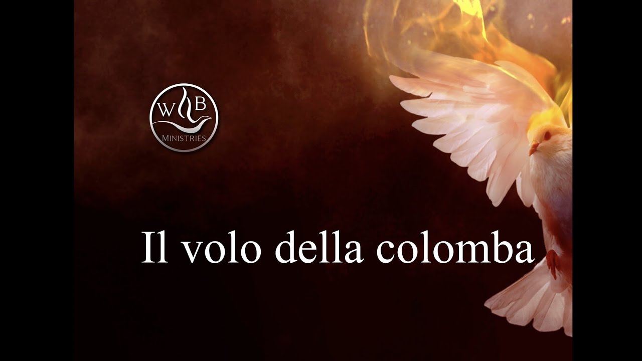 Il volo della colomba