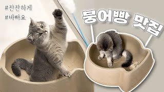 Vlogㅣ잠 못 드는 밤, 붕어빵 맛집 놀러오세요 🐾ㅣ아기고양이 일상 브이로그 by 깨발랄프 : Bubbly Ralph  1,651 views 5 months ago 8 minutes, 3 seconds