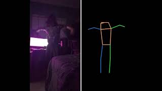 MMPose test