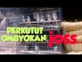 Perkutut Ombyokan Jos Mp3 - Mp4 Download