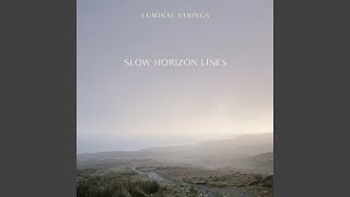 Driftwood Harmonics