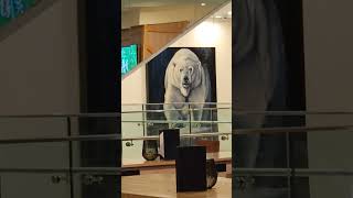 Delta Hotel Lounge downtown Winnipeg. 🏨🏙️ #Hotel #Lounge #Winnipeg