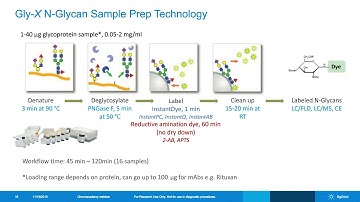 Released N-Glycan Analysis of Biotherapeutics – Sample Prep & Analysis