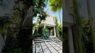 Before After Fasad Rumah Tropis | Dari Kosong Jadi Rindang \u0026 Sejuk 🌿 #rumahminimalis #rumahidaman