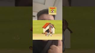 Game Vui Tap stop Dog tập 14