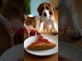 Cat & Dog Eating Pizza Together 🍕😂 | Funny Pets Moment | Flow Genius 🐶🐱