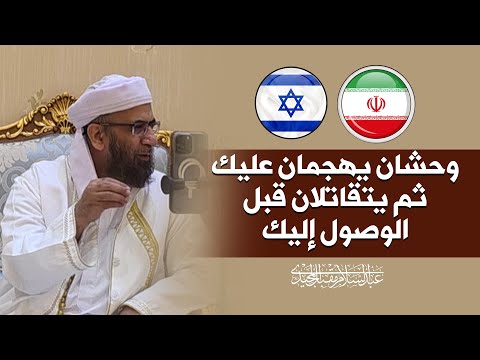 وحشان يهجمان عليك ثم يتقاتلان قبل الوصول إليك هل تدافع عن واحد منهما أم تفكر كيف تستثمر الموقف