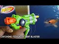 Catching Fish with NERF Blaster from Dollar Store!