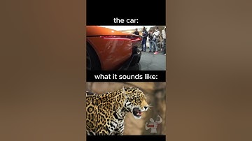 the jaguar that sounds like an actual jaguar