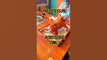 OMG! The Cutest Pig Roast Ever! | Crispy Roasted Suckling Pig | Street Food
