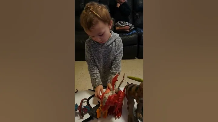 my 2 year old setting up his dinosaurs