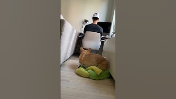 He Tried to Get Him Fired