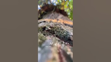 اجمل تلاوة صباحية في صباح يوم الجمعة 🌷جمعة معطرة بذكر الله ورسوله صلى الله عليه وسلم وعلى آله وأصحبه