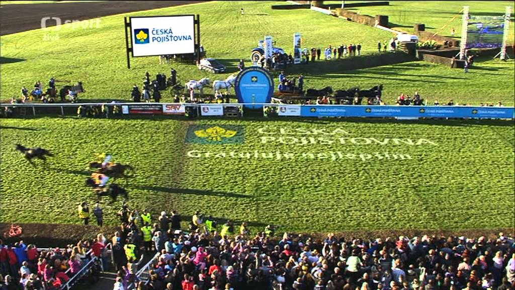 123. Velká Pardubická 2013 - Grand steeplechase Pardubice 2013