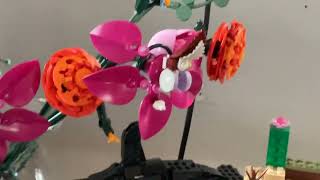 IMG 0094