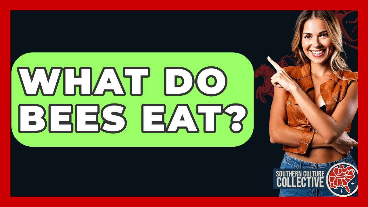 What Do Bees Eat? - Southern Culture Collective