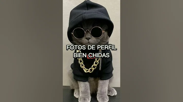 FOTOS DE PERFIL BIEN CHIDAS