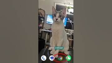 How to make Nifty feel like an app