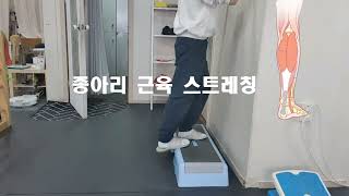 종이리스트레칭 비복근 스트레칭