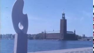 Le Suisse Moyen Vu De Suède 1971