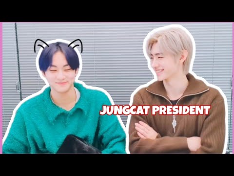 Sunghoon And His Never-ending Jungcat Agenda (jungcat President!)