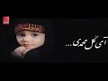 Hajib Hamed Zamani Eng Subtitle حجاب حامد زمانی 