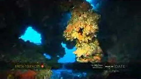 Giant clam bathed in shaft of light - DayDayNews