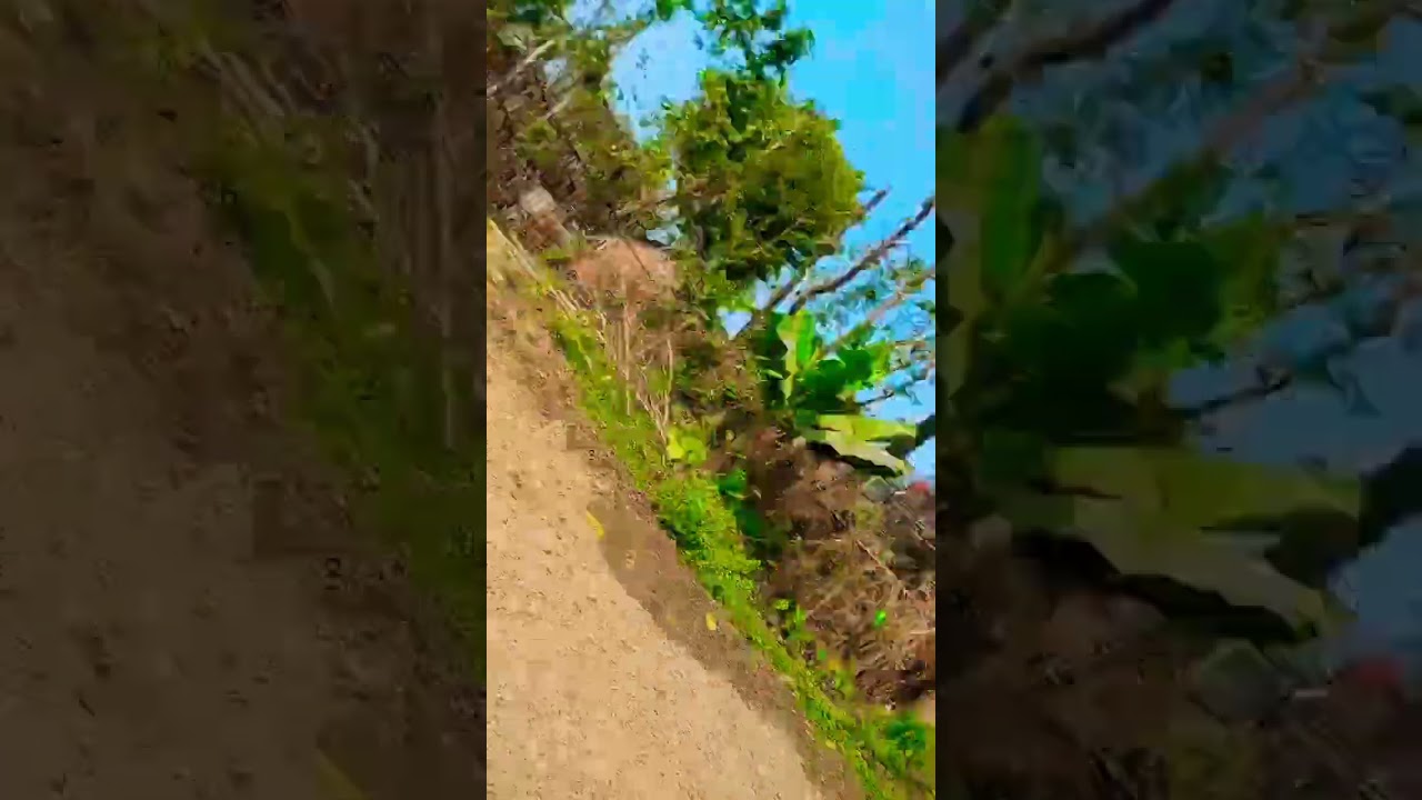 sushmita Sharma ka short video 