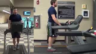 Walk Cycle Reference